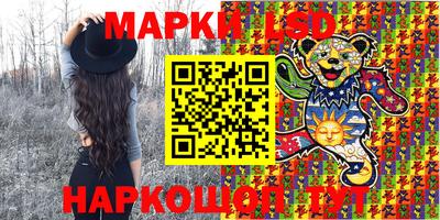 мдпв Краснодар