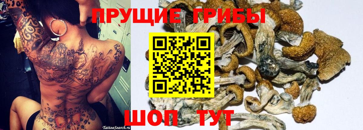 Галлюциногенные грибы Psilocybe  Вход с VPN  Киселёвск  Галлюциногенные грибы MAGIC MUSHROOMS 